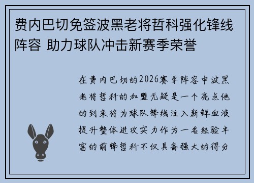 费内巴切免签波黑老将哲科强化锋线阵容 助力球队冲击新赛季荣誉