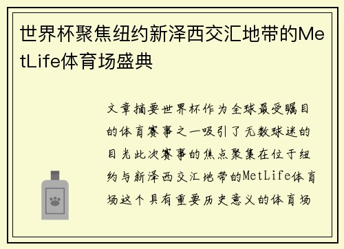 世界杯聚焦纽约新泽西交汇地带的MetLife体育场盛典 世界杯聚焦纽约新泽西交汇地带的MetLife体育场盛典